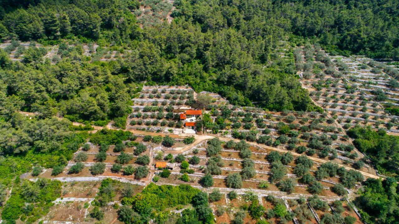 וולה לוקה Holiday Home Liberan מראה חיצוני תמונה